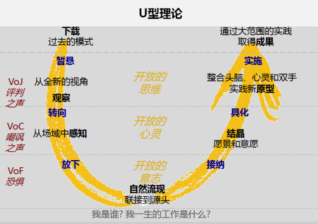 《U型理論》－5